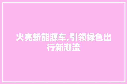 火亮新能源车,引领绿色出行新潮流