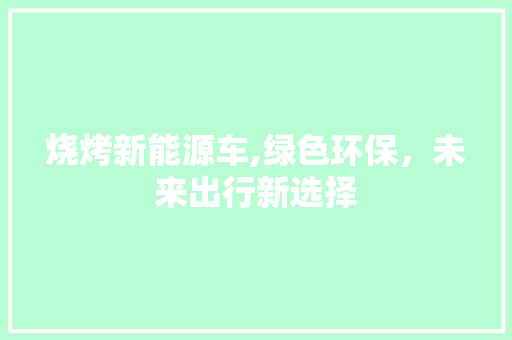 烧烤新能源车,绿色环保，未来出行新选择