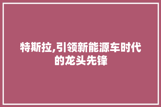 特斯拉,引领新能源车时代的龙头先锋  第1张