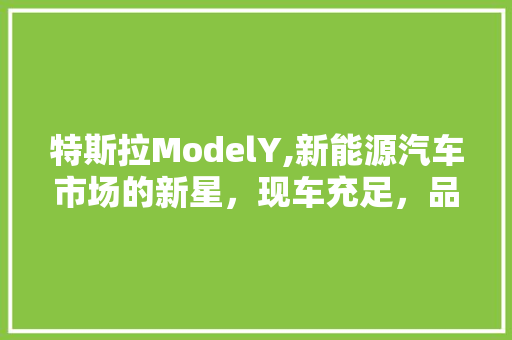 特斯拉ModelY,新能源汽车市场的新星，现车充足，品质卓越