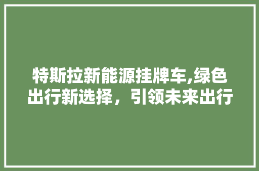 特斯拉新能源挂牌车,绿色出行新选择，引领未来出行潮流