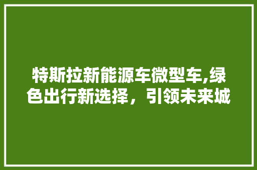 特斯拉新能源车微型车,绿色出行新选择，引领未来城市交通