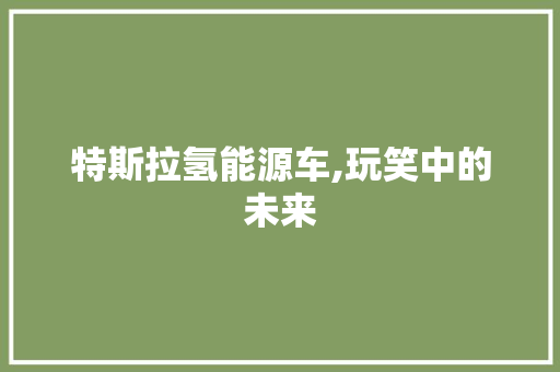 特斯拉氢能源车,玩笑中的未来  第1张