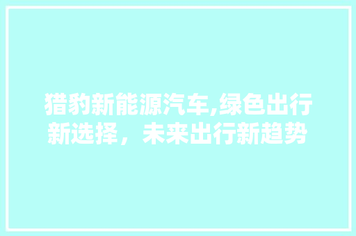 猎豹新能源汽车,绿色出行新选择，未来出行新趋势