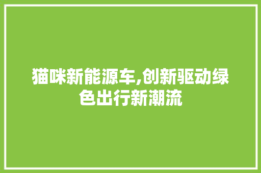 猫咪新能源车,创新驱动绿色出行新潮流