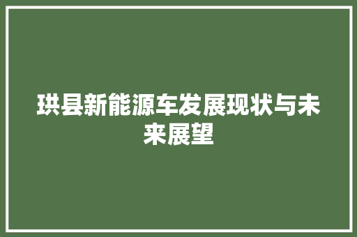 珙县新能源车发展现状与未来展望