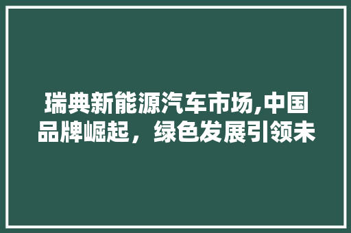 瑞典新能源汽车市场,中国品牌崛起，绿色发展引领未来