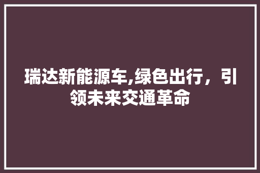 瑞达新能源车,绿色出行，引领未来交通革命