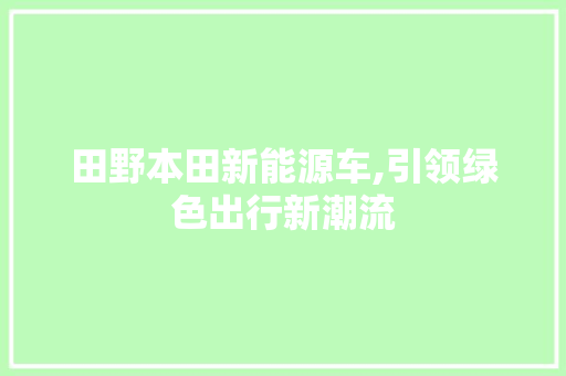 田野本田新能源车,引领绿色出行新潮流