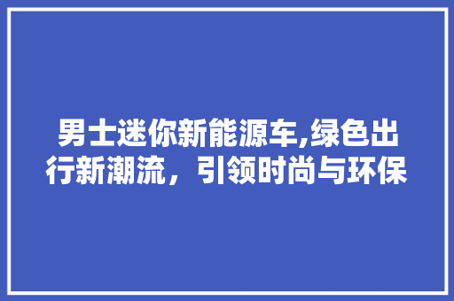 男士迷你新能源车,绿色出行新潮流，引领时尚与环保双重趋势