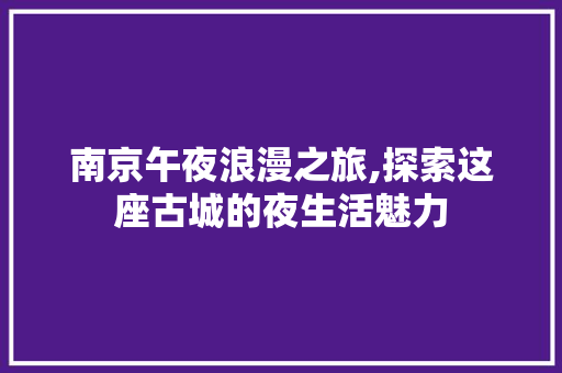 南京午夜浪漫之旅,探索这座古城的夜生活魅力