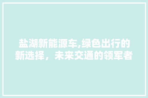 盐湖新能源车,绿色出行的新选择，未来交通的领军者