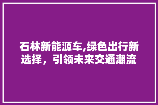 石林新能源车,绿色出行新选择，引领未来交通潮流