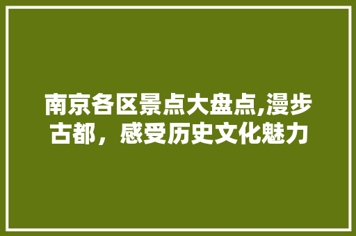 南京各区景点大盘点,漫步古都，感受历史文化魅力