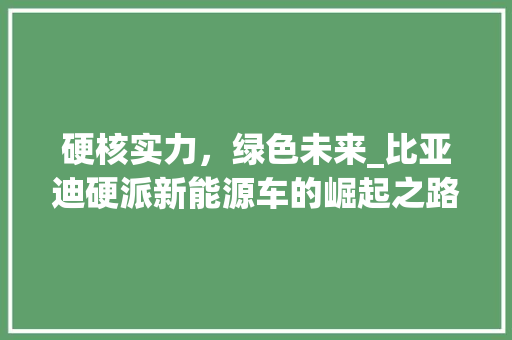 硬核实力，绿色未来_比亚迪硬派新能源车的崛起之路