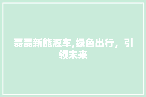 磊磊新能源车,绿色出行，引领未来