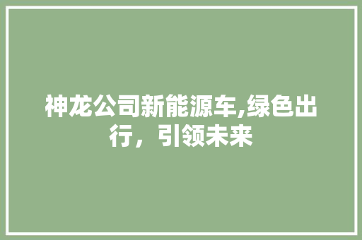 神龙公司新能源车,绿色出行，引领未来