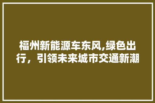 福州新能源车东风,绿色出行，引领未来城市交通新潮流