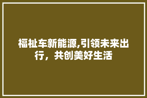 福祉车新能源,引领未来出行，共创美好生活