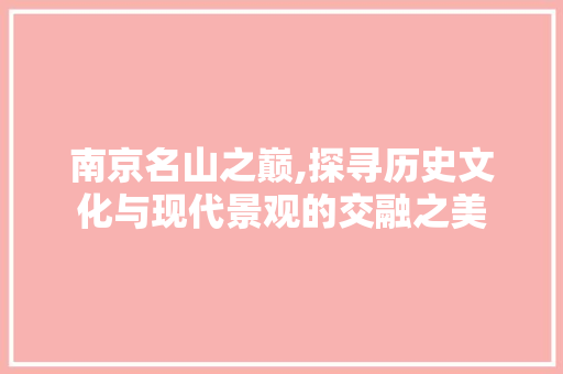 南京名山之巅,探寻历史文化与现代景观的交融之美