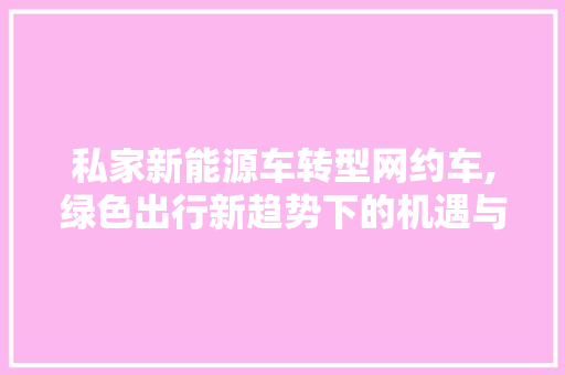 私家新能源车转型网约车,绿色出行新趋势下的机遇与挑战