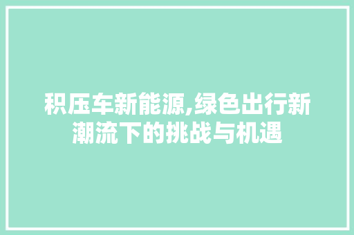 积压车新能源,绿色出行新潮流下的挑战与机遇