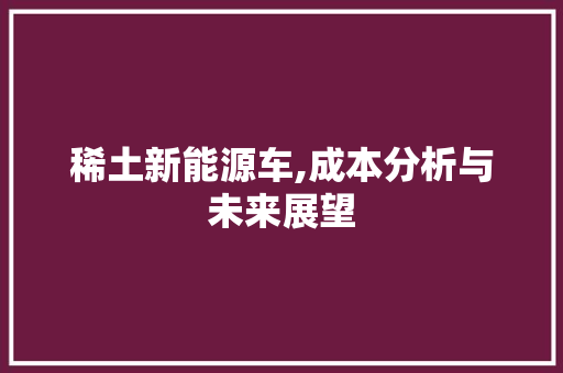 稀土新能源车,成本分析与未来展望