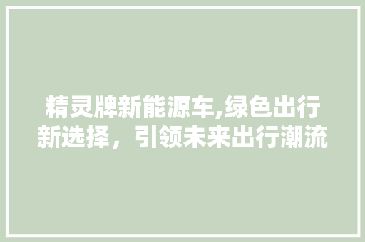 精灵牌新能源车,绿色出行新选择，引领未来出行潮流