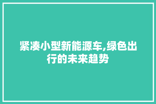 紧凑小型新能源车,绿色出行的未来趋势