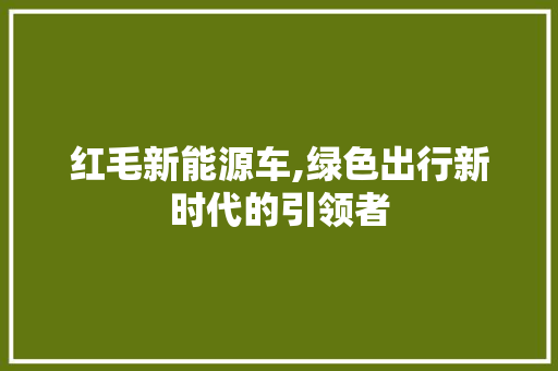 红毛新能源车,绿色出行新时代的引领者