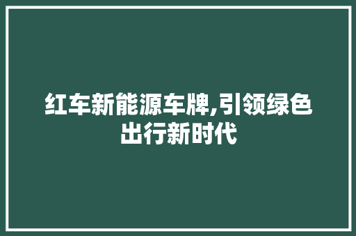 红车新能源车牌,引领绿色出行新时代  第1张