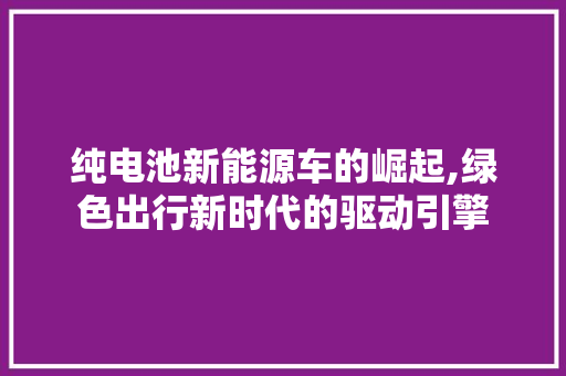 纯电池新能源车的崛起,绿色出行新时代的驱动引擎