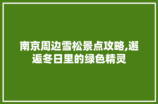 南京周边雪松景点攻略,邂逅冬日里的绿色精灵