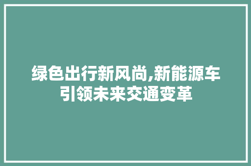 绿色出行新风尚,新能源车引领未来交通变革