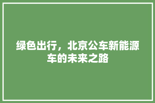 绿色出行，北京公车新能源车的未来之路