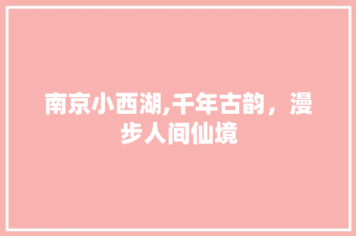 南京小西湖,千年古韵，漫步人间仙境