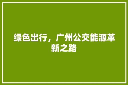 绿色出行，广州公交能源革新之路