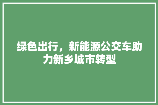 绿色出行，新能源公交车助力新乡城市转型  第1张