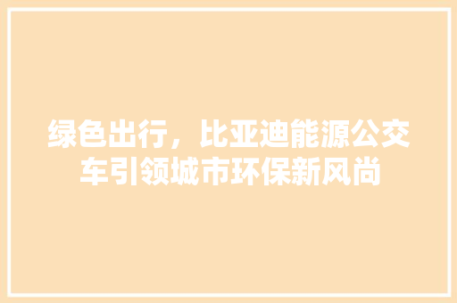 绿色出行，比亚迪能源公交车引领城市环保新风尚