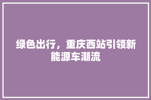 绿色出行，重庆西站引领新能源车潮流  第1张