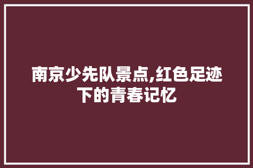 南京少先队景点,红色足迹下的青春记忆