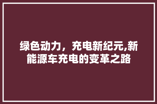 绿色动力，充电新纪元,新能源车充电的变革之路