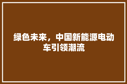 绿色未来，中国新能源电动车引领潮流