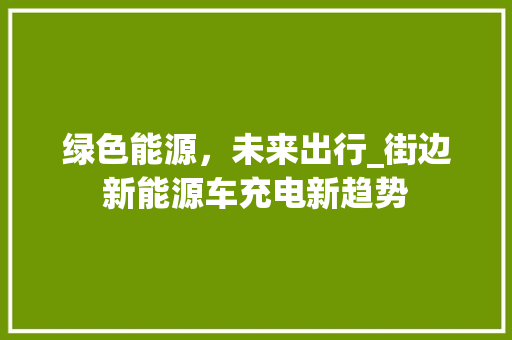 绿色能源，未来出行_街边新能源车充电新趋势  第1张