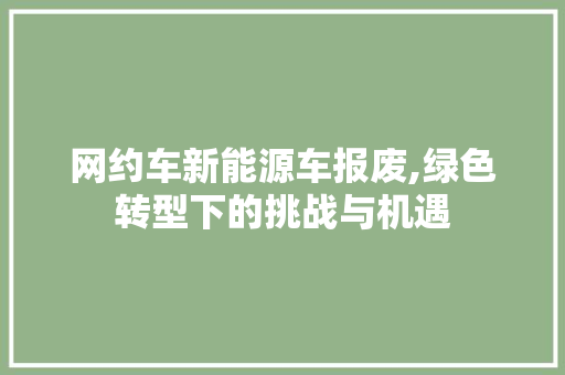 网约车新能源车报废,绿色转型下的挑战与机遇