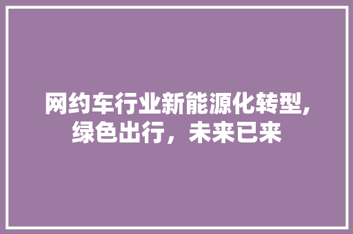 网约车行业新能源化转型,绿色出行，未来已来