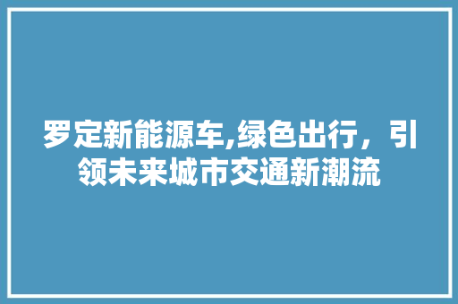 罗定新能源车,绿色出行，引领未来城市交通新潮流