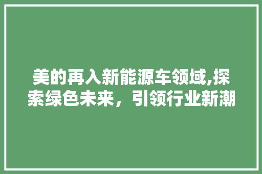 美的再入新能源车领域,探索绿色未来，引领行业新潮流