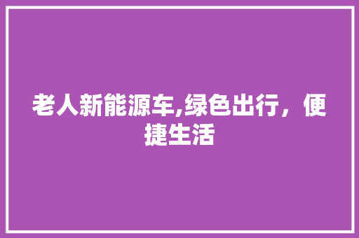 老人新能源车,绿色出行，便捷生活