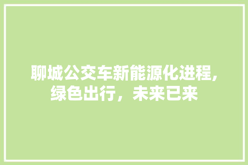 聊城公交车新能源化进程,绿色出行，未来已来